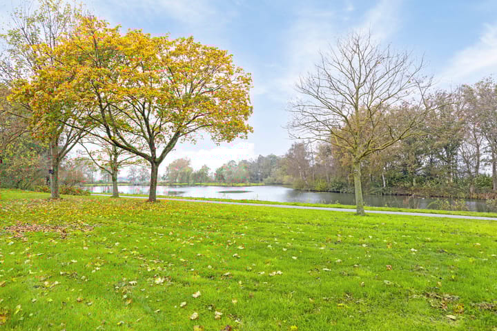 Foto 37 van Rietmeent 21