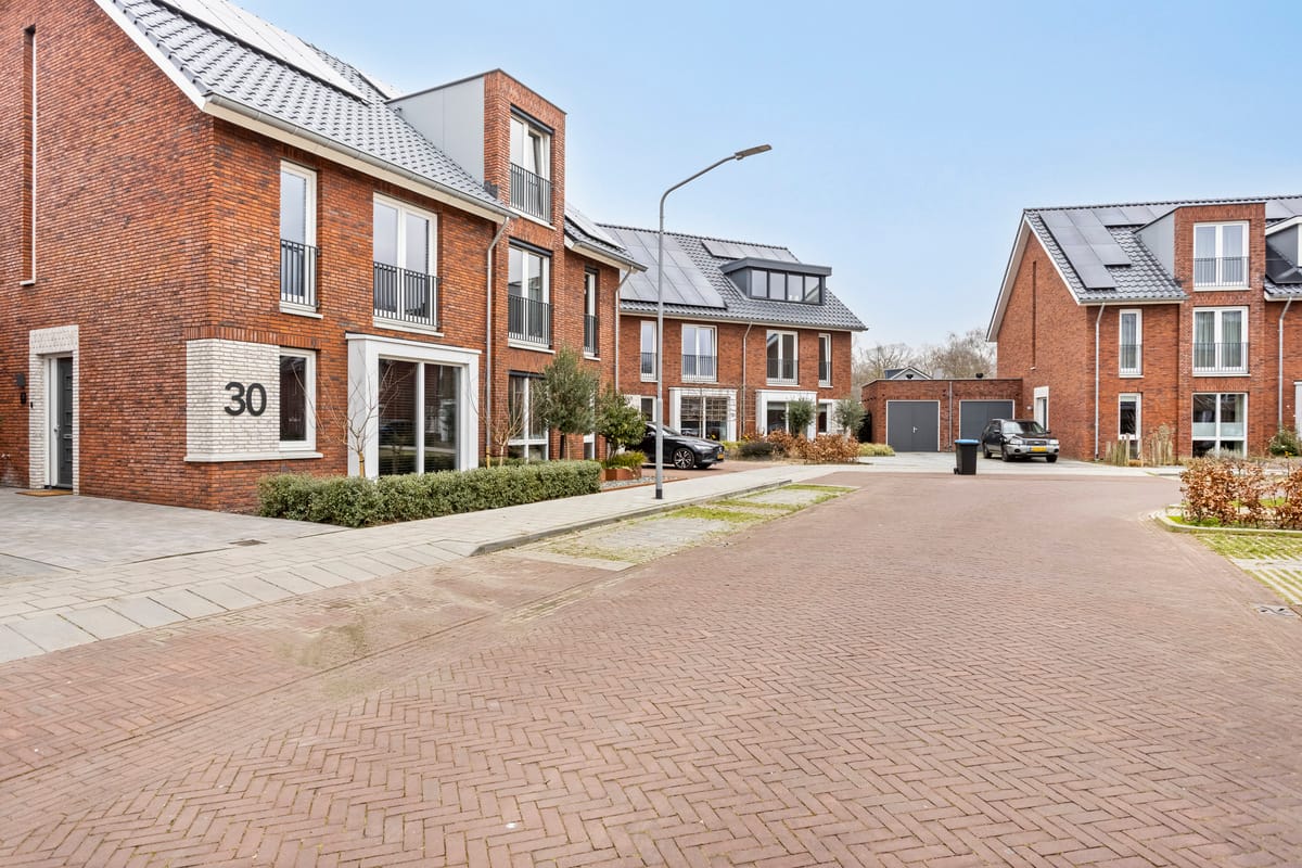 Foto 5 van Blauwborst 30