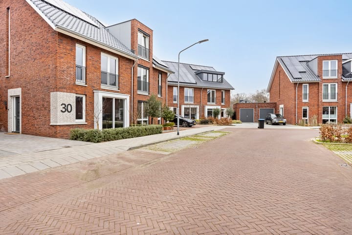 Foto 5 van Blauwborst 30