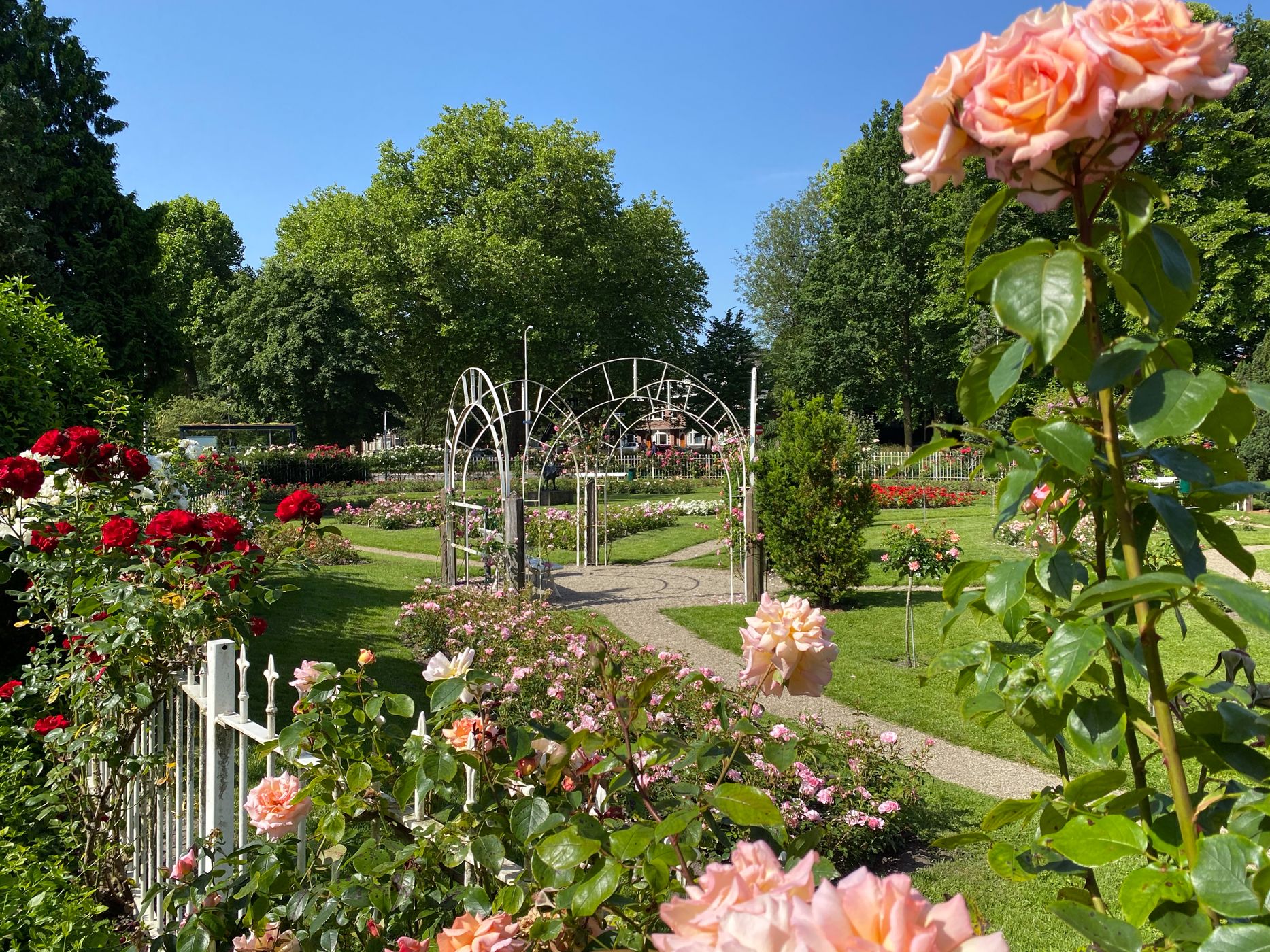 Foto 45 van Oudwijk 23-EA