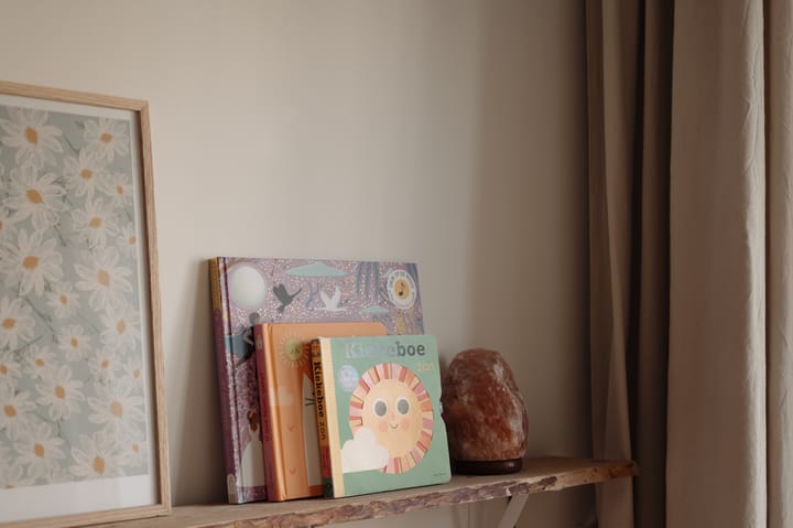 Foto 18 van Admiraal De Ruijterweg 138-1