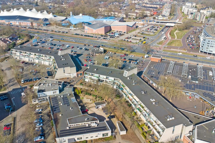 Photo 6 of Flora 171