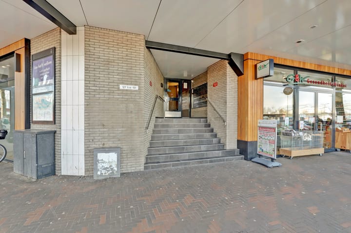 Photo 9 of Flora 171