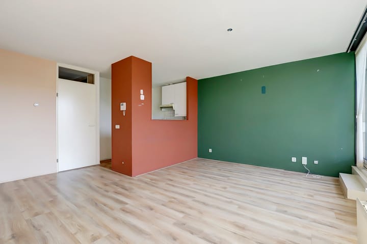 Photo 16 of Flora 171