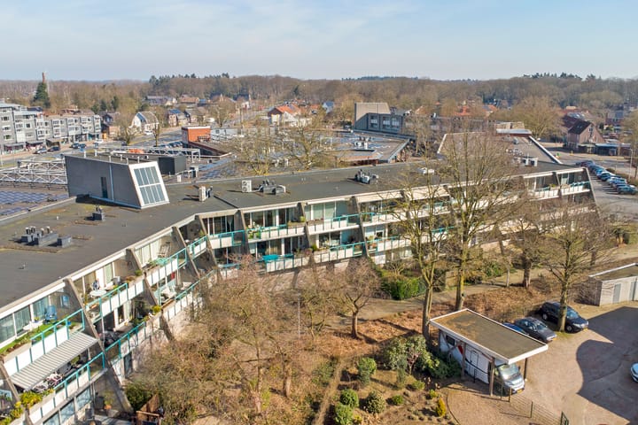 Photo 27 of Flora 171