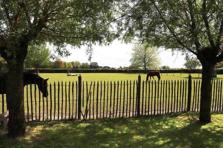 Foto 17 van Vijverbroekstraat 36