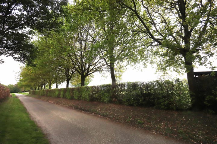 Foto 45 van Vijverbroekstraat 36