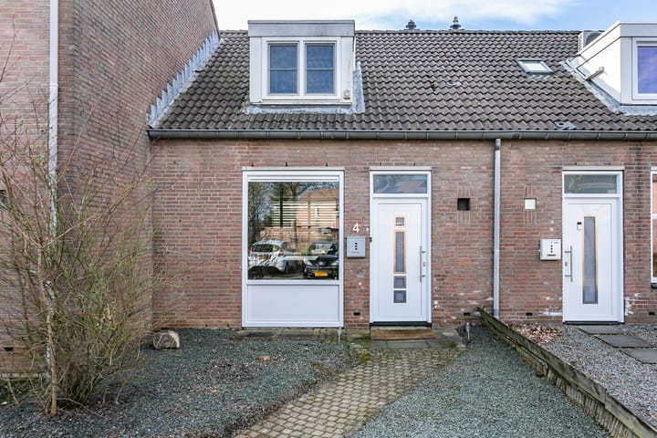 Foto 2 van Lepidodendronerf 4