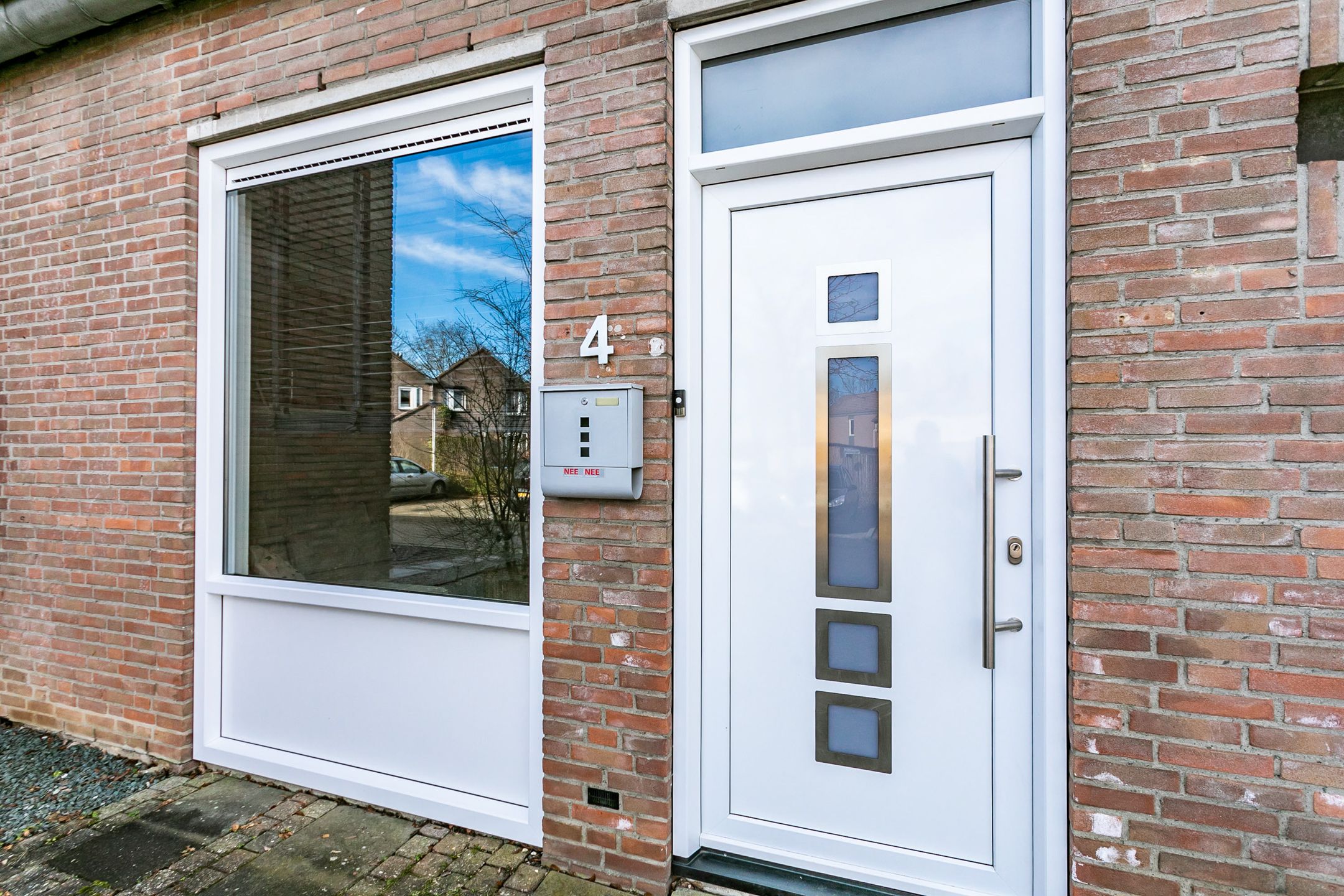 Photo 3 of Lepidodendronerf 4