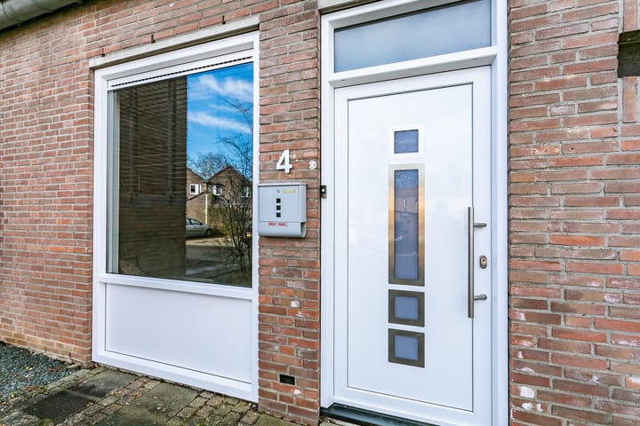 Foto 3 van Lepidodendronerf 4