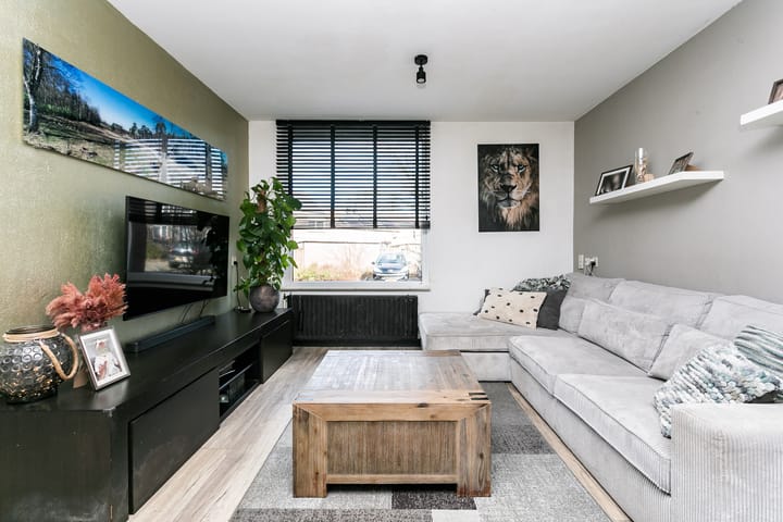 Foto 5 van Lepidodendronerf 4