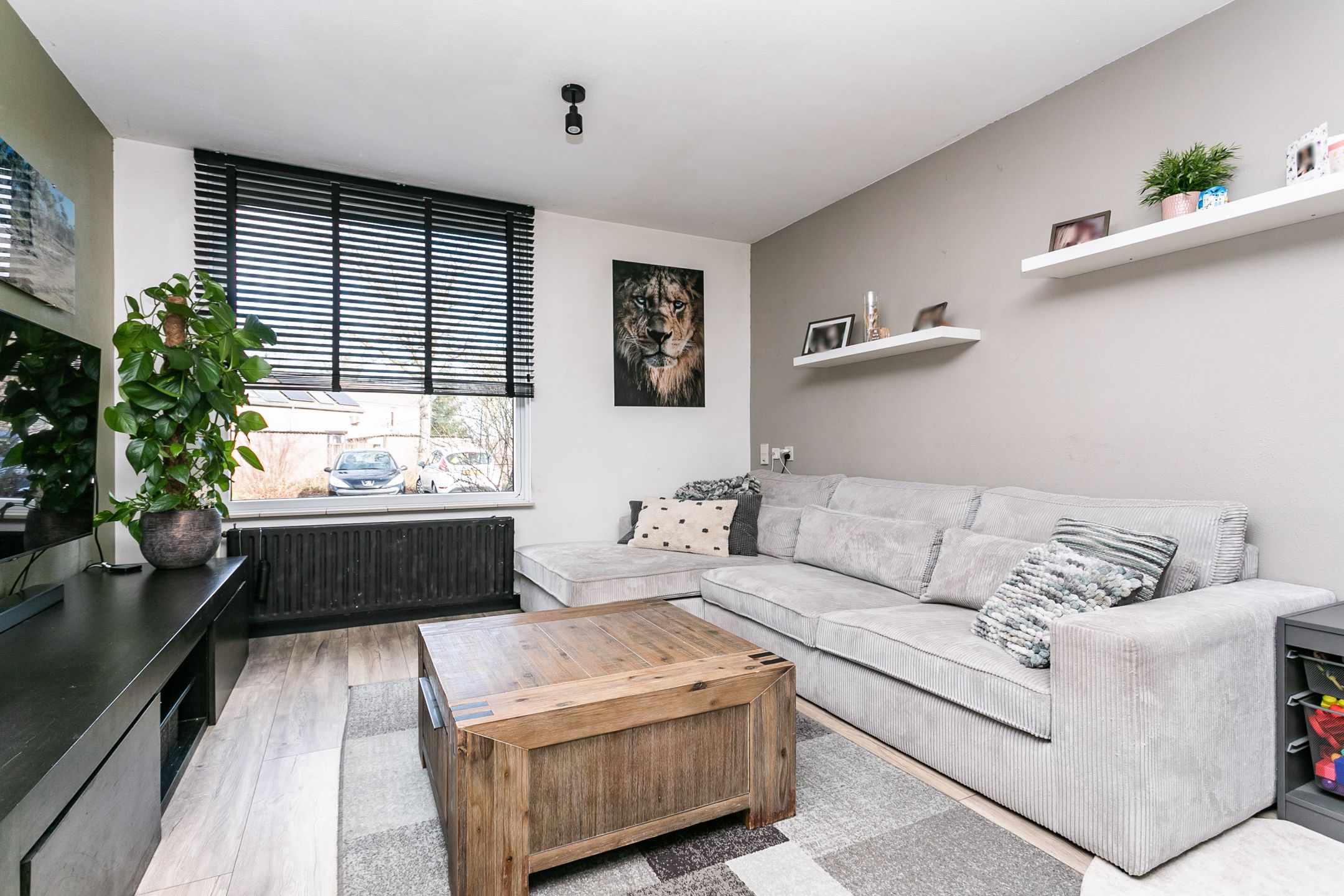 Photo 6 of Lepidodendronerf 4