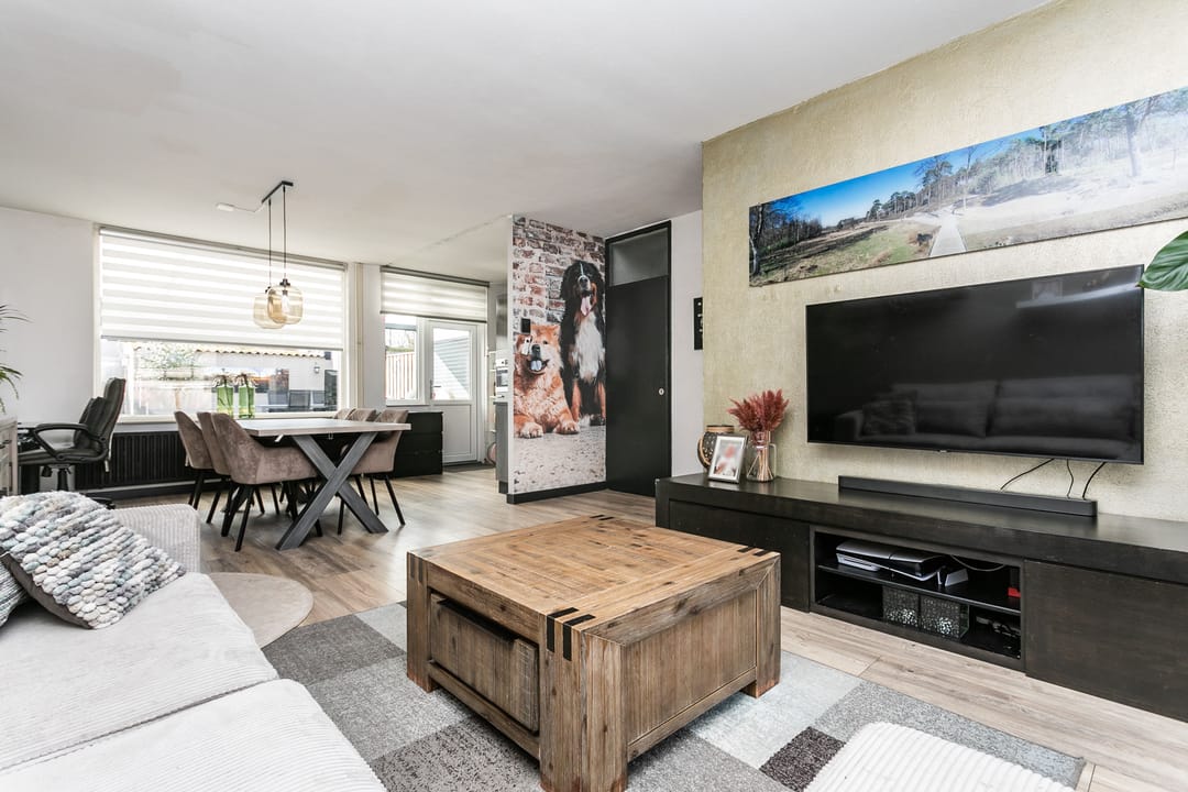 Photo 7 of Lepidodendronerf 4