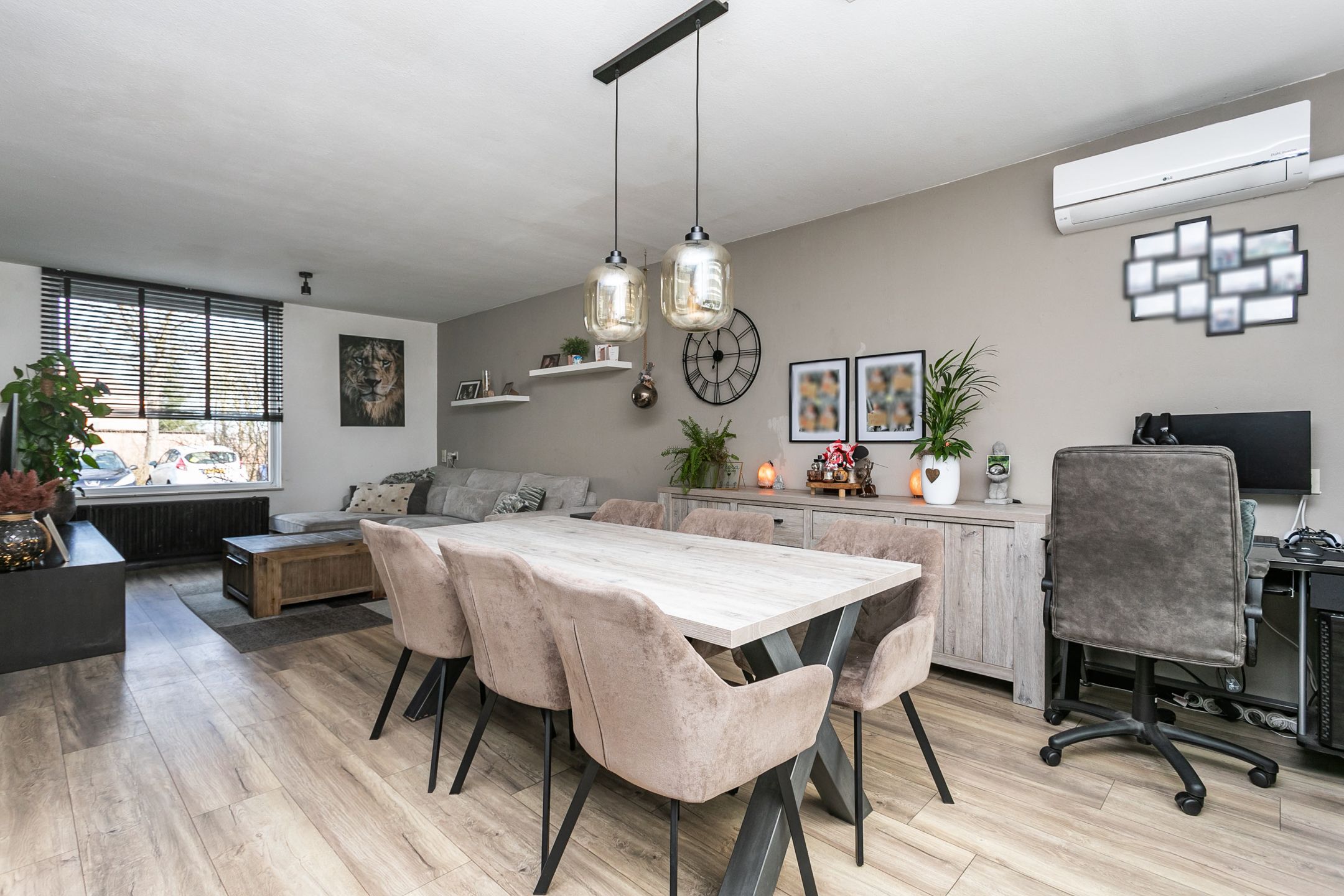 Photo 9 of Lepidodendronerf 4