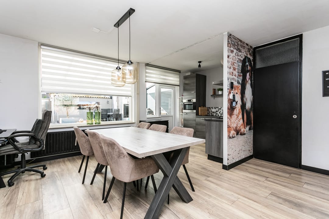 Photo 11 of Lepidodendronerf 4