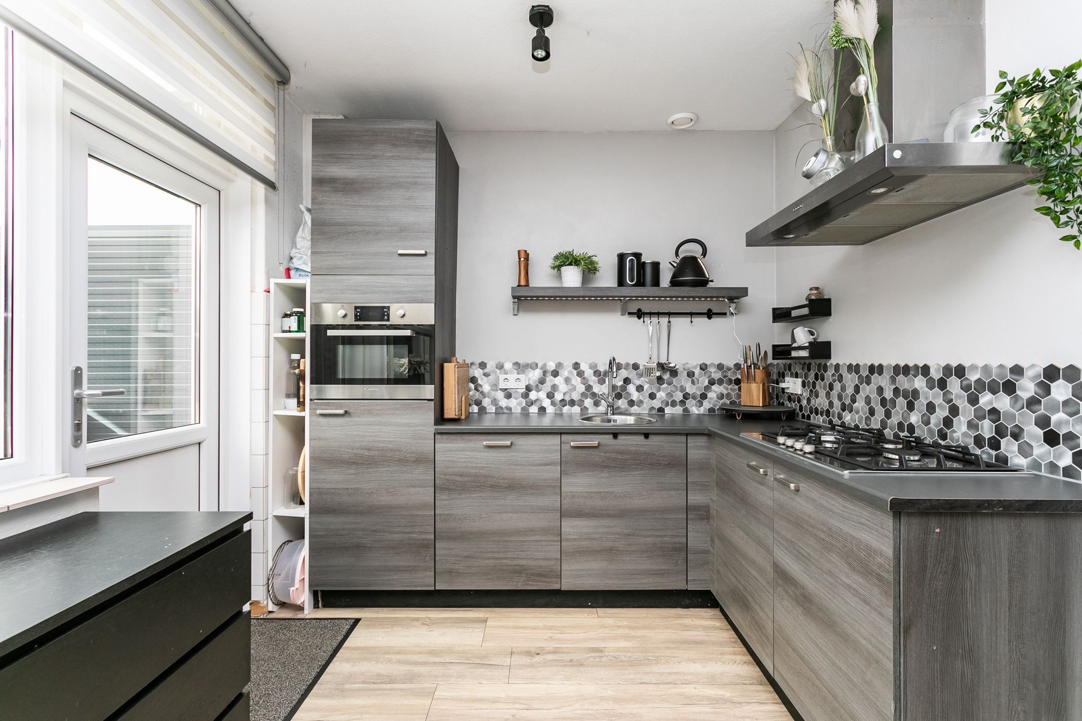 Photo 12 of Lepidodendronerf 4