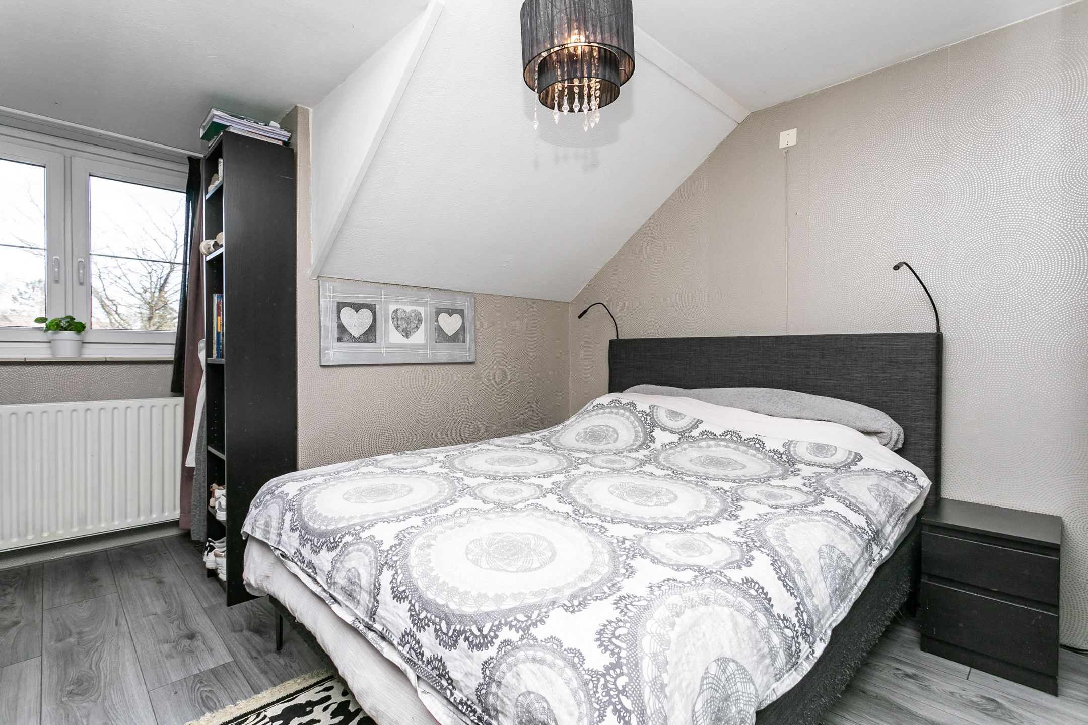 Photo 15 of Lepidodendronerf 4