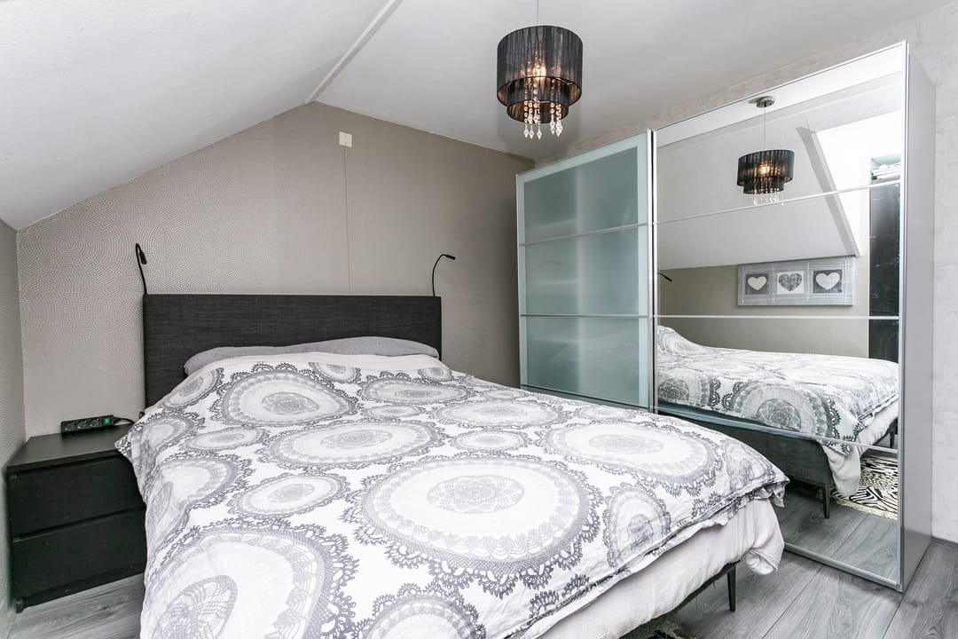 Photo 16 of Lepidodendronerf 4