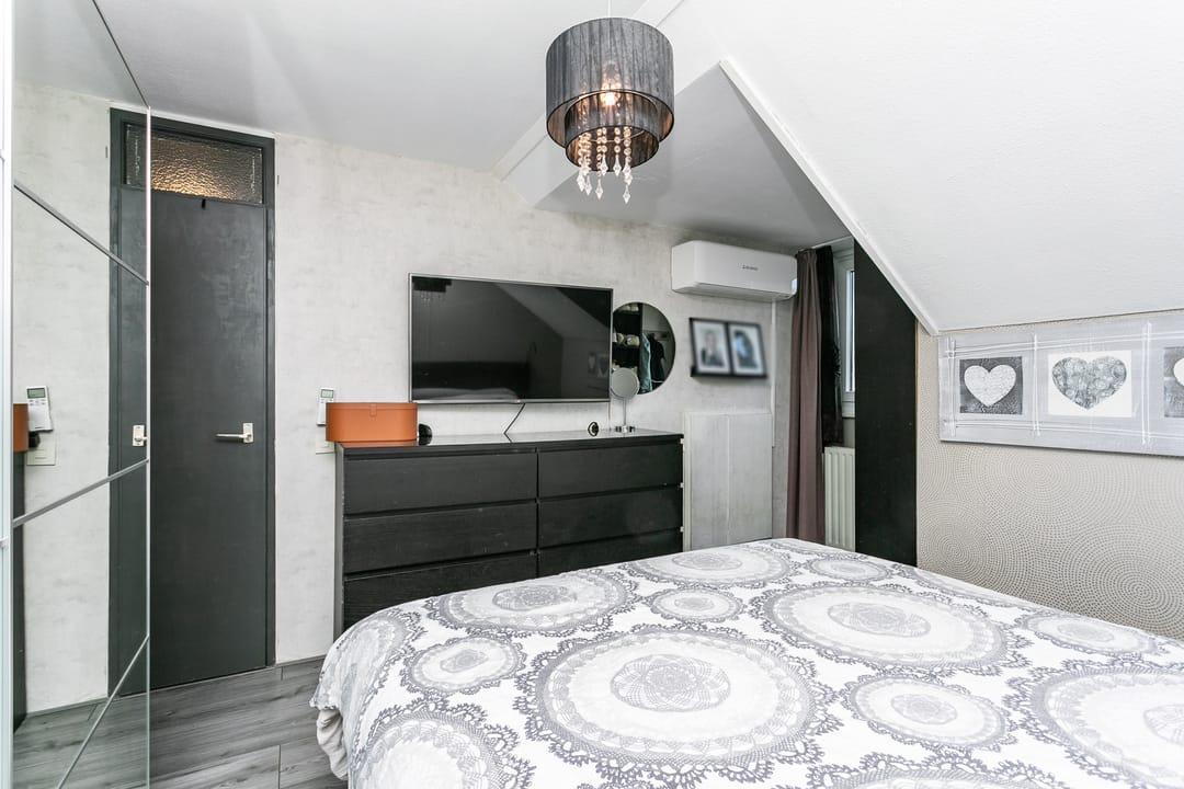 Photo 17 of Lepidodendronerf 4