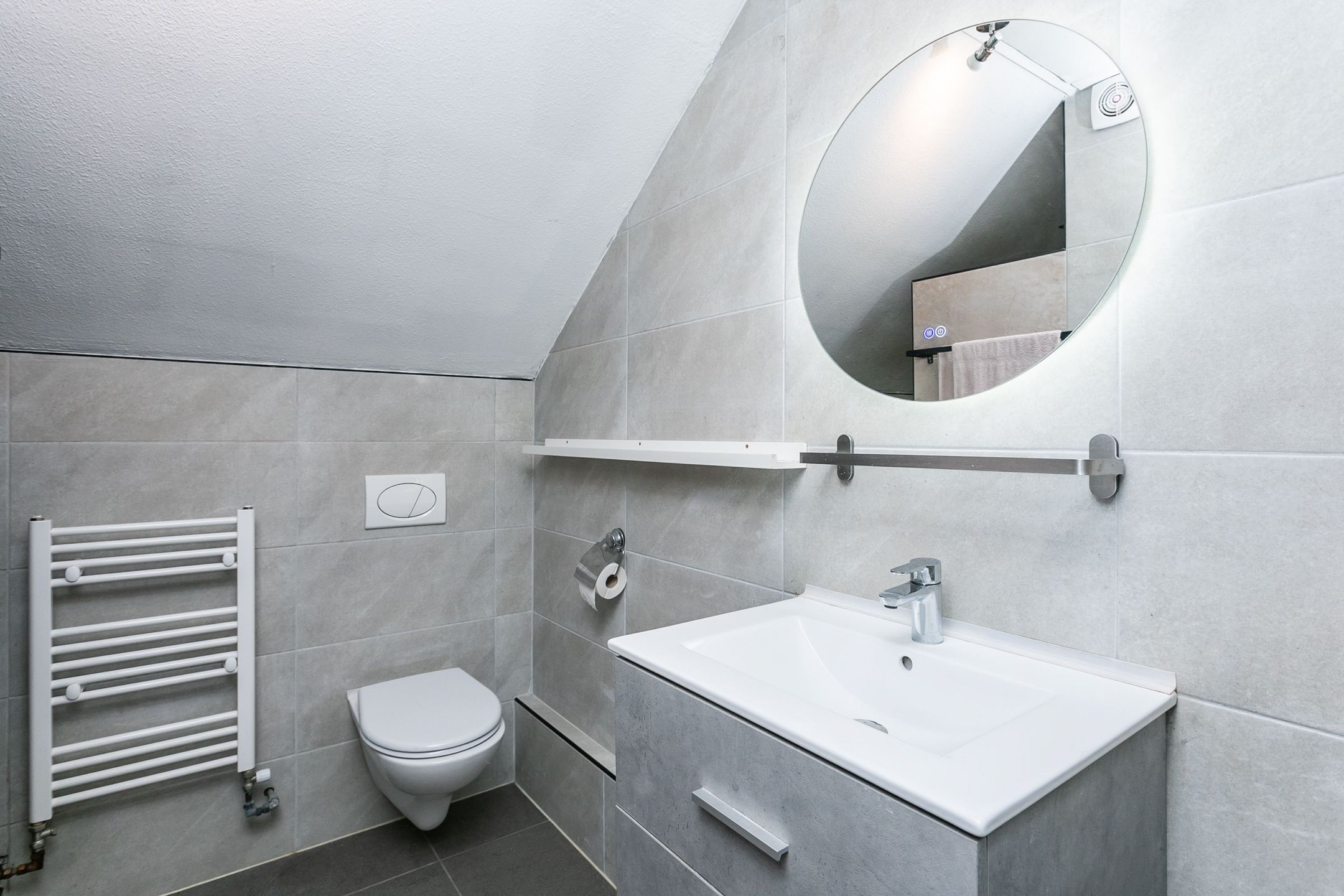 Photo 18 of Lepidodendronerf 4