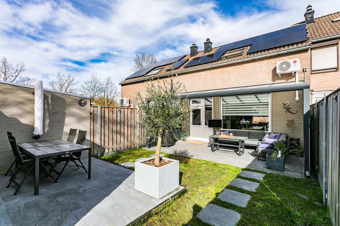 Photo 23 of Lepidodendronerf 4