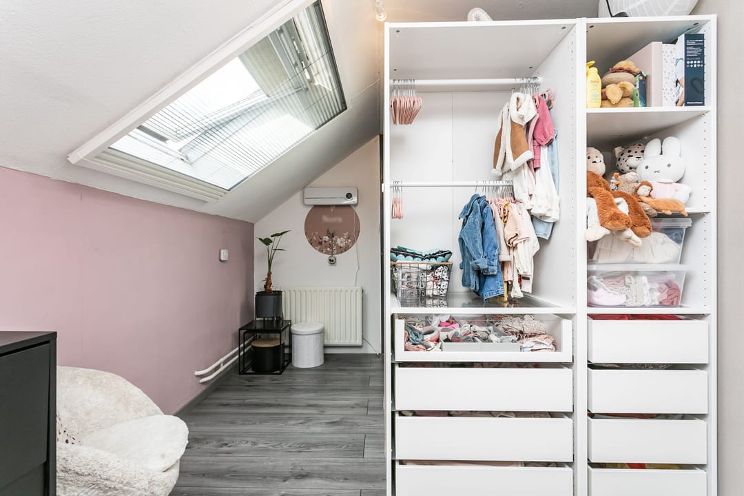 Photo 22 of Lepidodendronerf 4