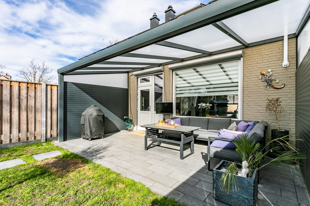 Photo 26 of Lepidodendronerf 4