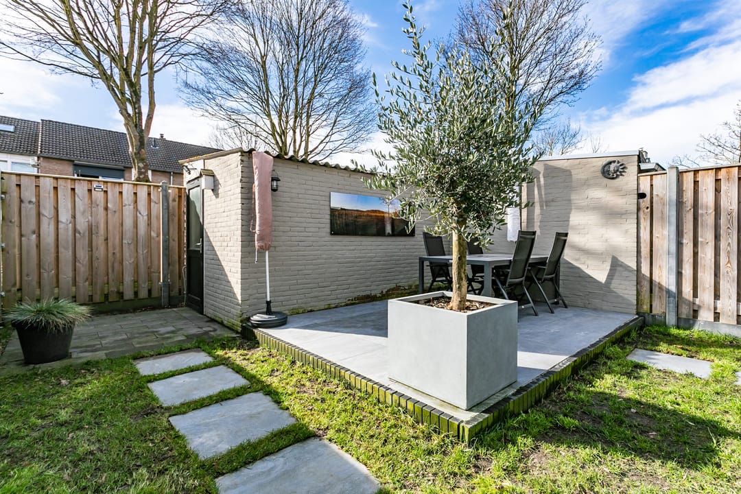 Photo 28 of Lepidodendronerf 4