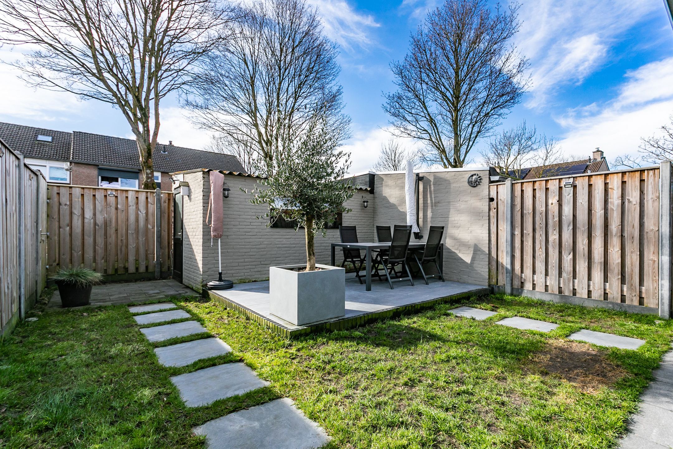 Photo 30 of Lepidodendronerf 4