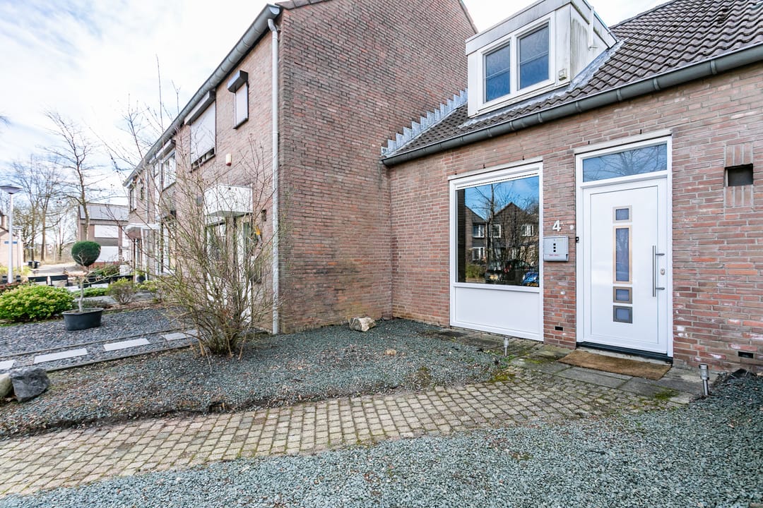 Photo 31 of Lepidodendronerf 4