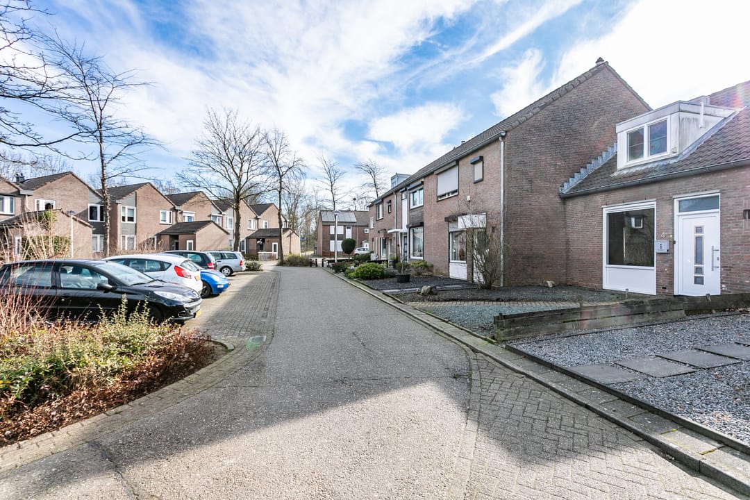 Photo 32 of Lepidodendronerf 4