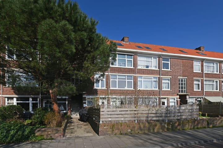 Foto 29 van Rederijkerstraat 99