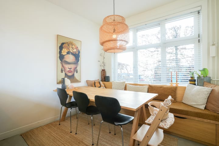 Foto 4 van Professor Moserstraat 41