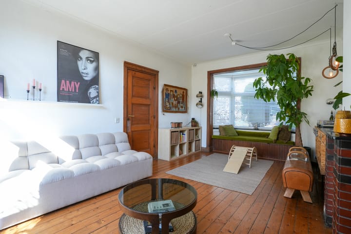 Foto 2 van Professor Moserstraat 41