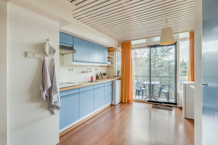 Foto 11 van Looplantsoen 180