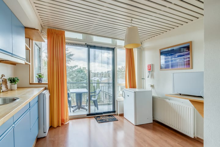 Foto 14 van Looplantsoen 180