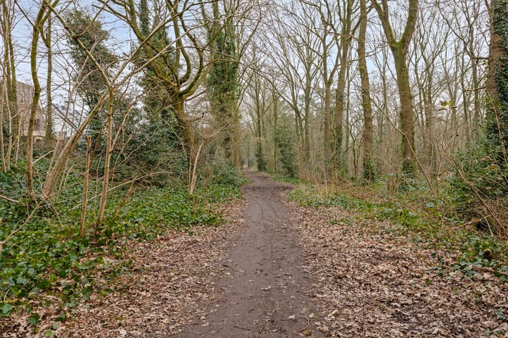 Foto 37 van Wolfsberg 89