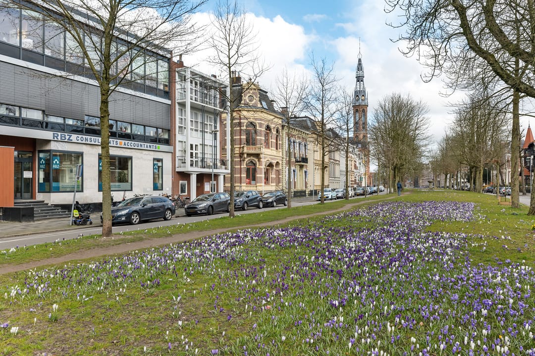 Photo 7 of Hereplein 14