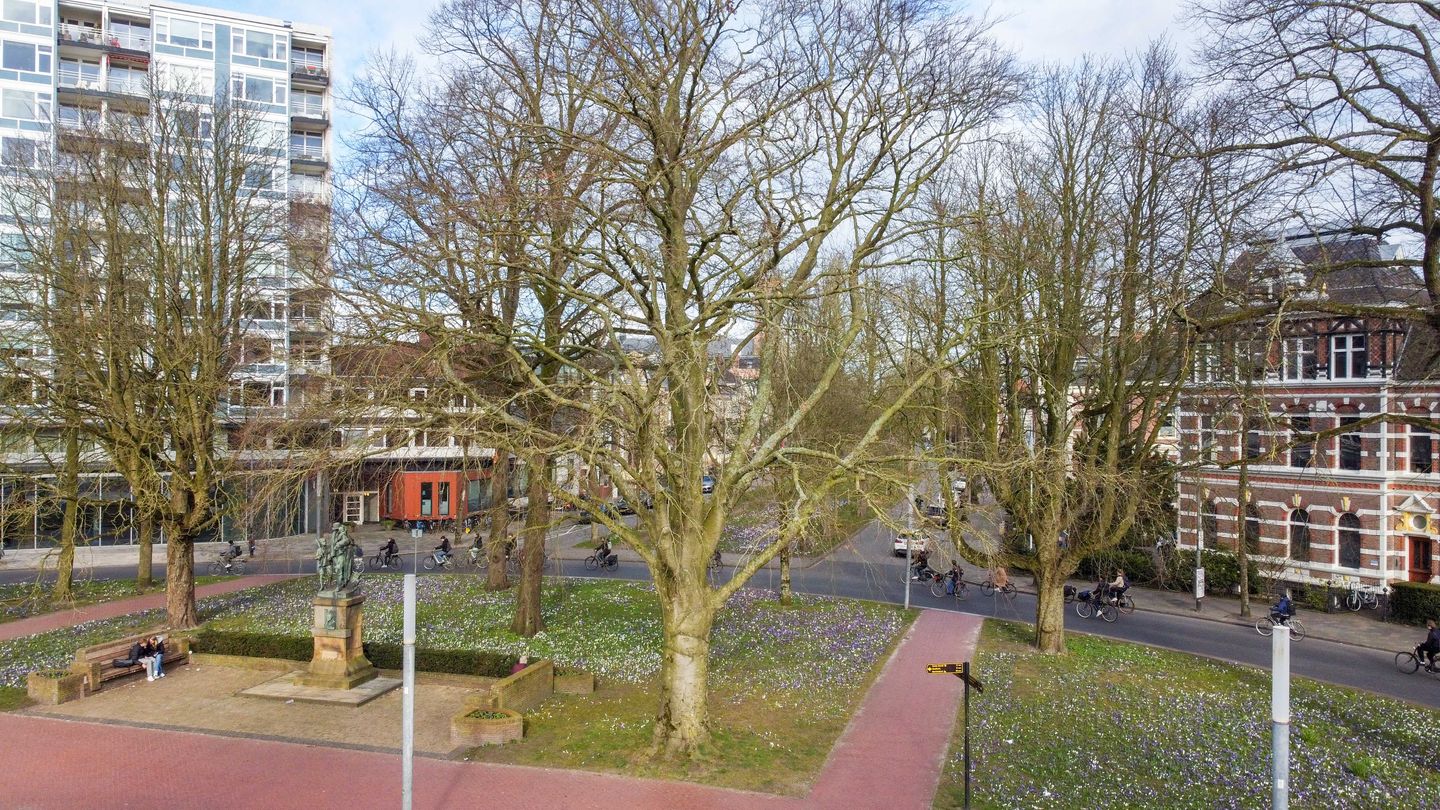 Photo 44 of Hereplein 14