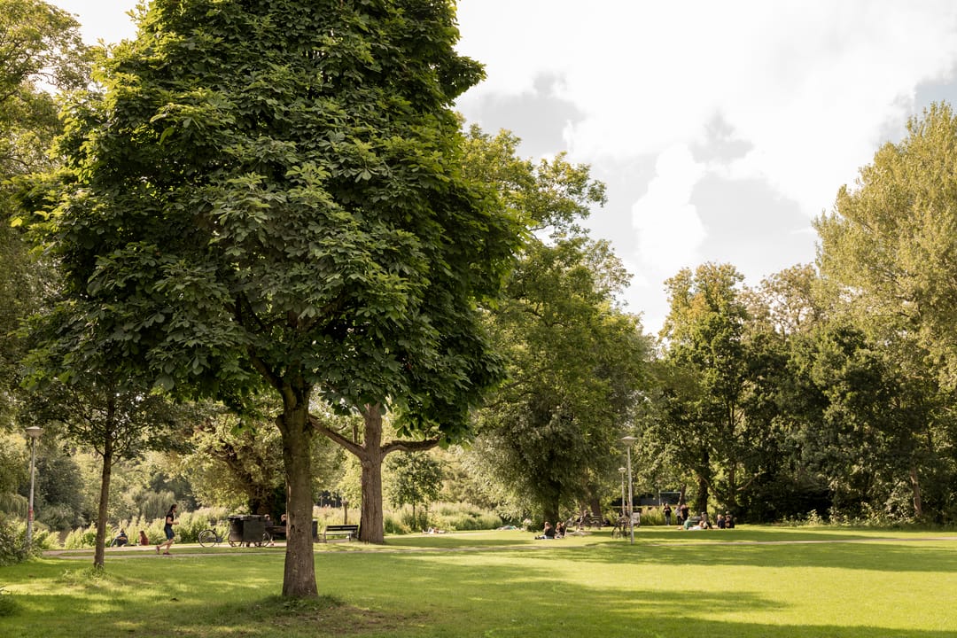 Foto 62 van Johannes Verhulststraat 193-3