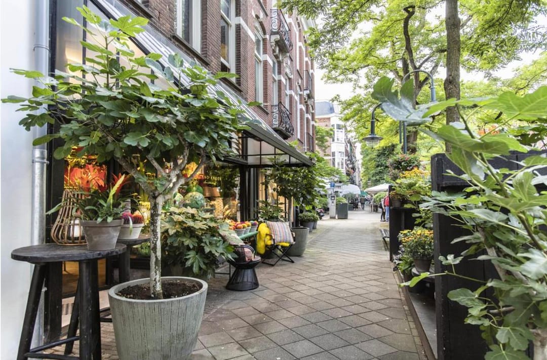 Foto 58 van Johannes Verhulststraat 193-3