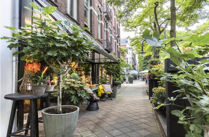 Foto 58 van Johannes Verhulststraat 193-3