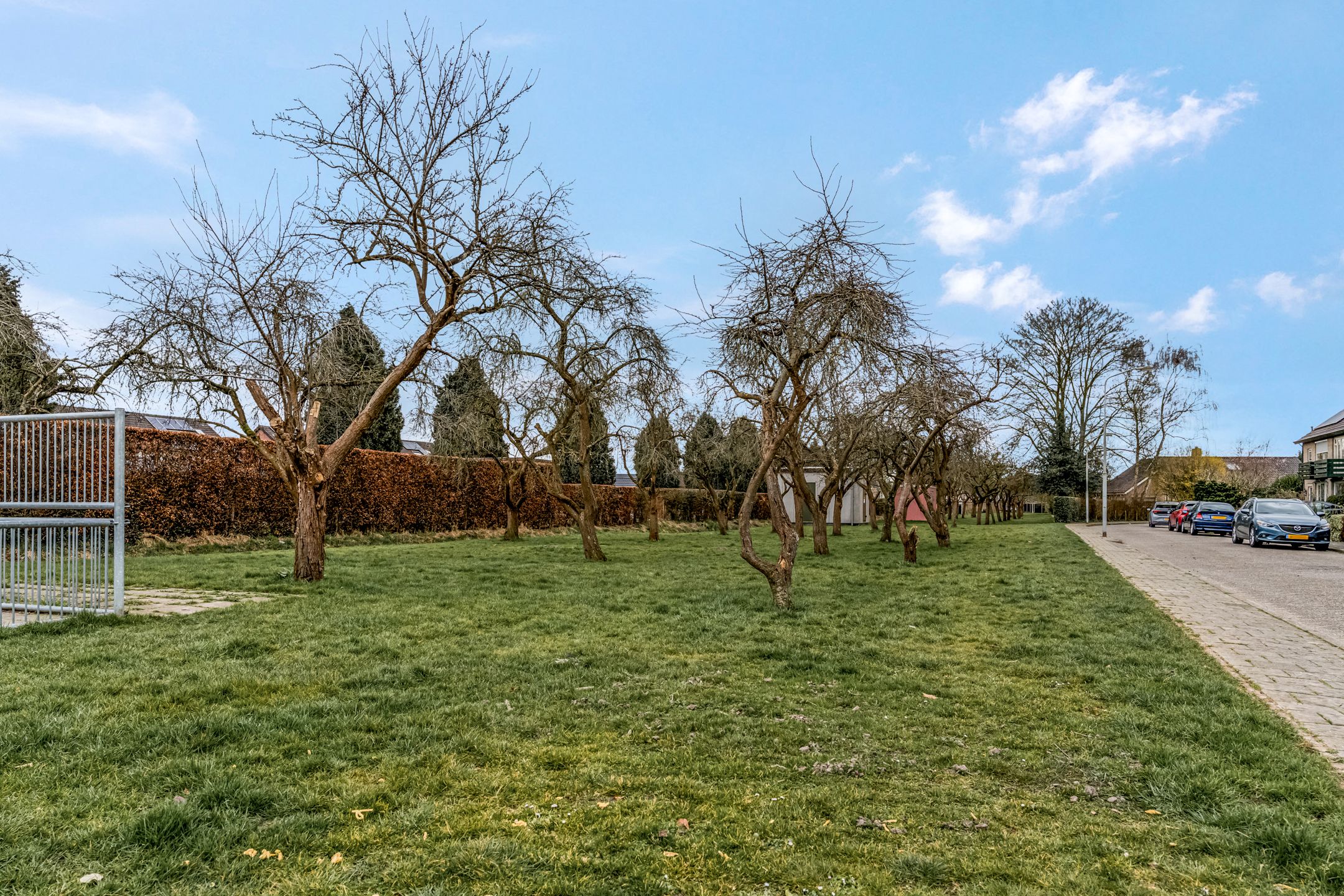 Foto 45 van Nicolaas Beetsstraat 1