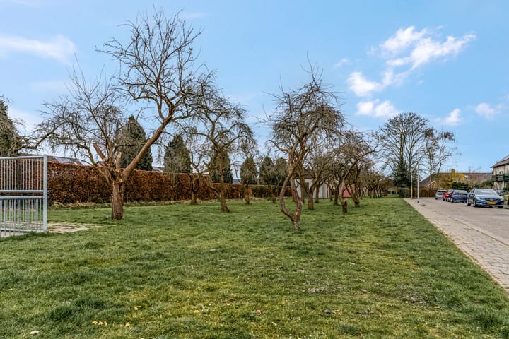 Foto 45 van Nicolaas Beetsstraat 1