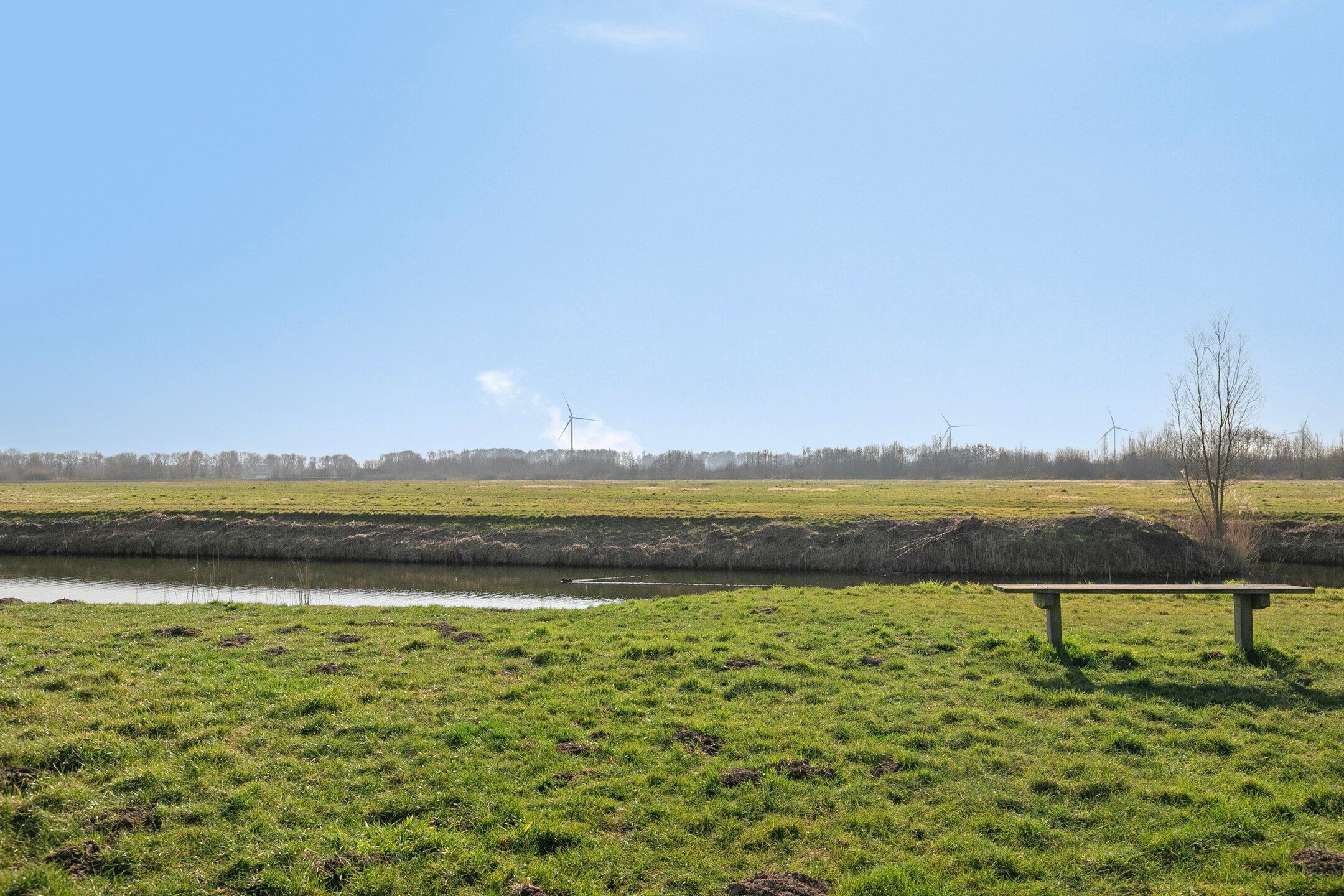 Foto 36 van Molenleede 11