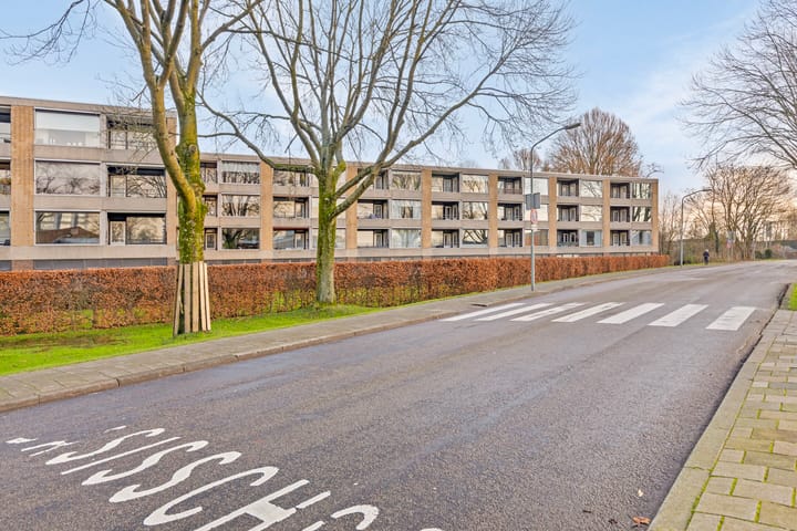 Foto 3 van Campanula 62