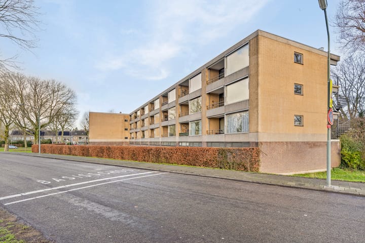 Foto 4 van Campanula 62