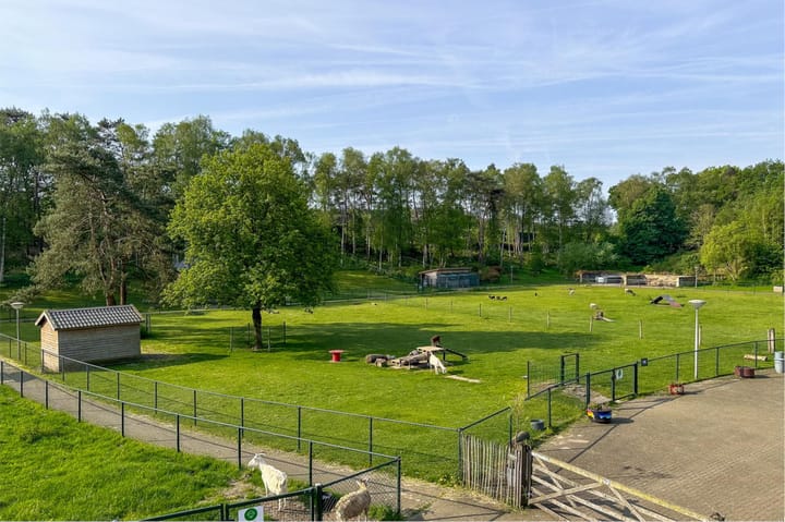 Photo 68 of Zonnelaan 119