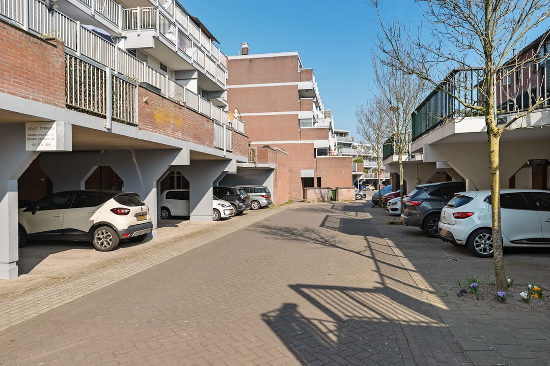 Foto 31 van Hollandsch Diep 227