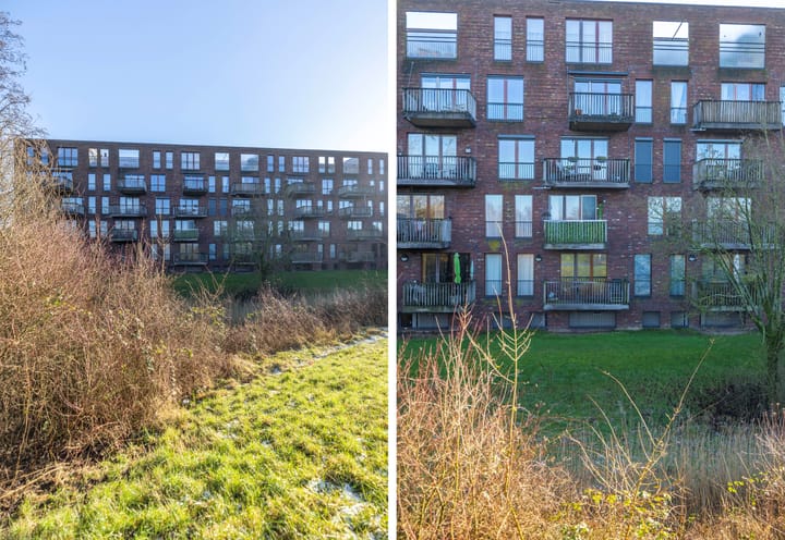 Foto 39 van Nachtschade 72